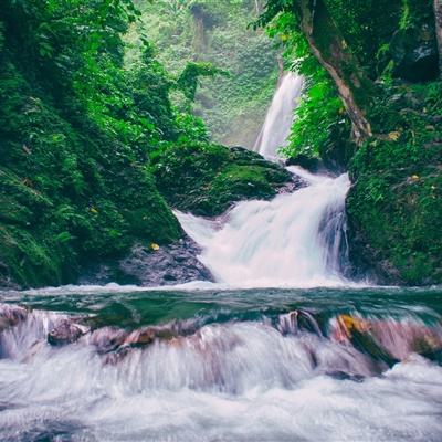 梦想仙侠2满v版下载